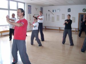Meister Sifu Bodo Seibold unterrichtet die Siu Nim Tao im Wing Chun Kung Fu